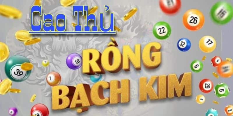 rong-bach-kim-soi-cau-chien-thuat